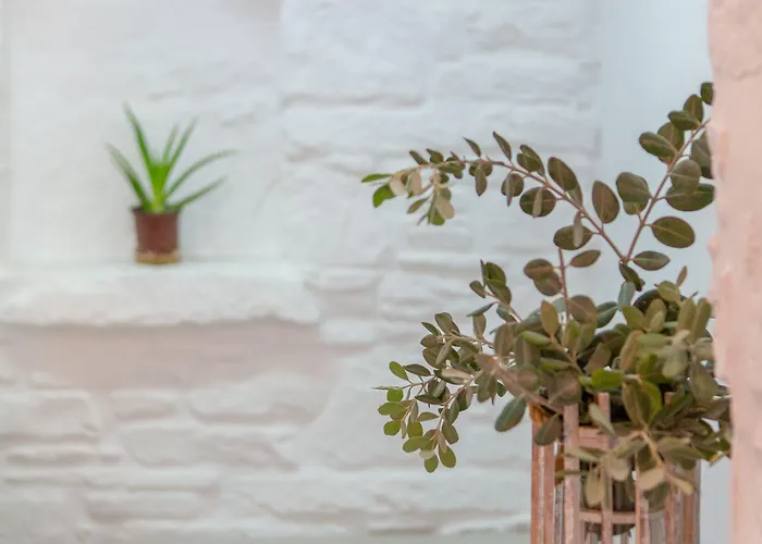 Acqua Vatos 3* Páros